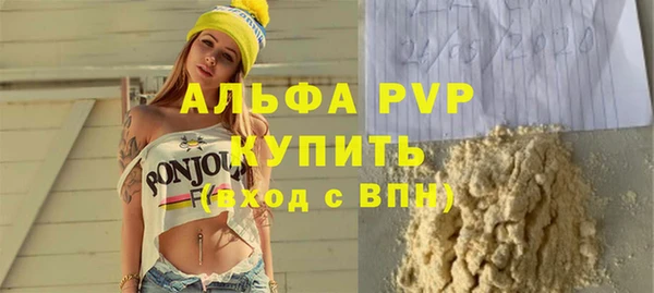 сатива Покачи