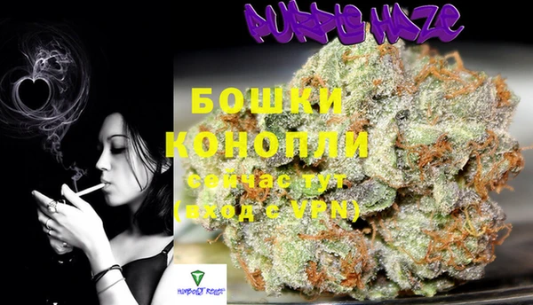 дживик Пестово