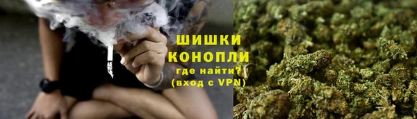 дживик Пестово