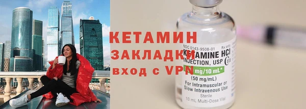сатива Покачи