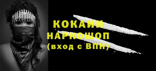 дживик Пестово