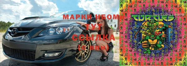 сатива Покачи