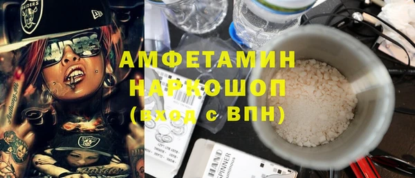 дживик Пестово
