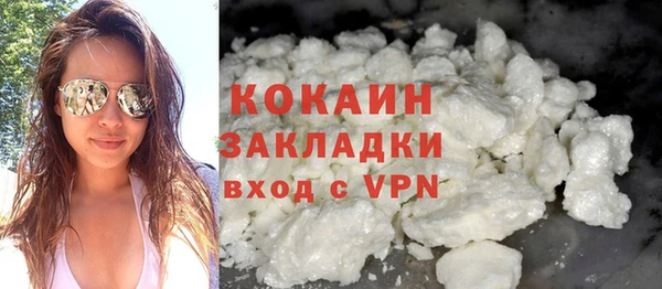 сатива Покачи